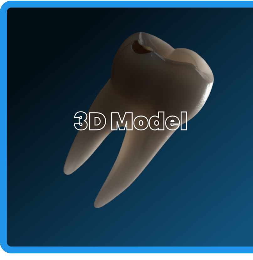 Al-Umar Dental Supply